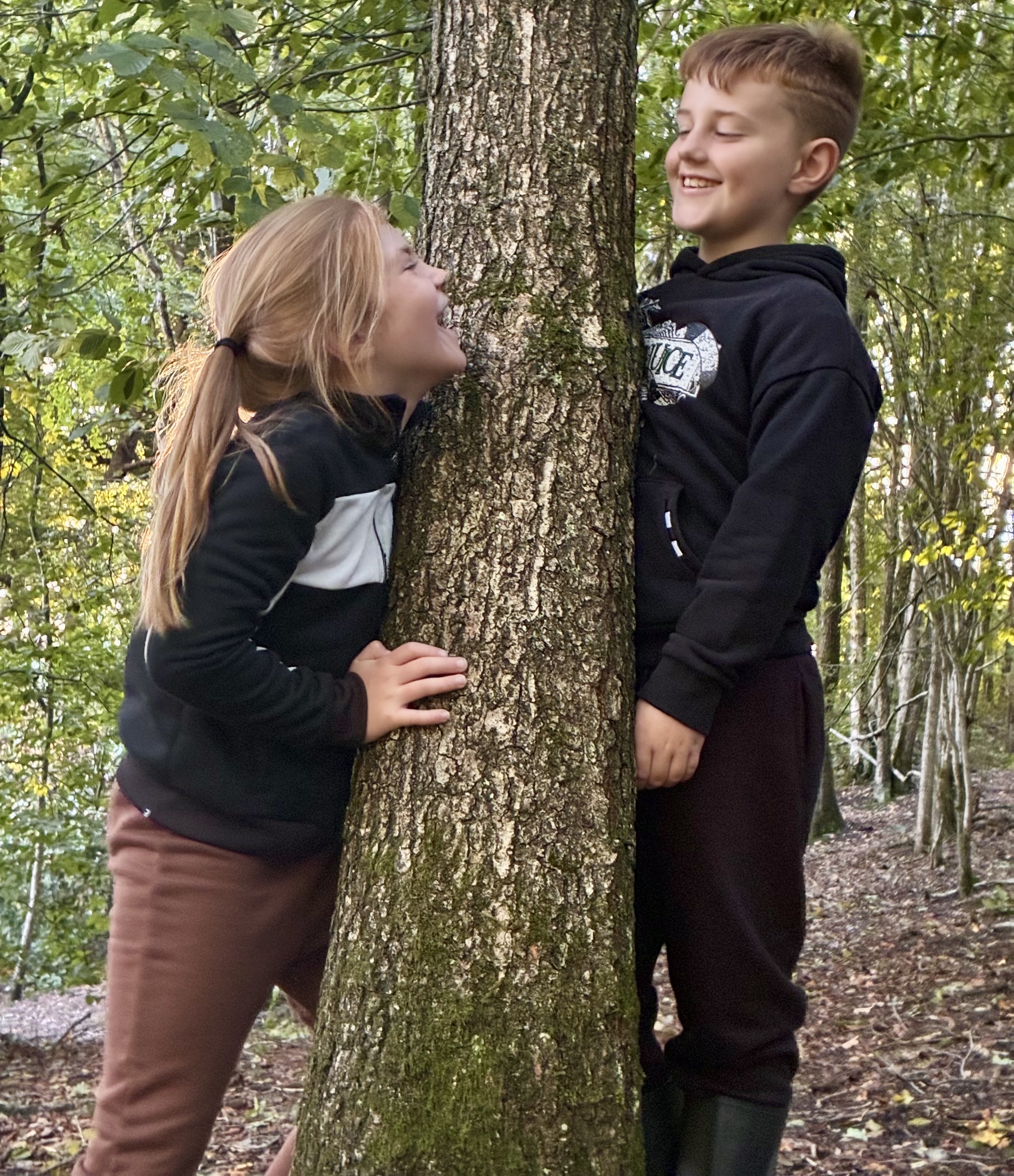Wild Wood Explorers 