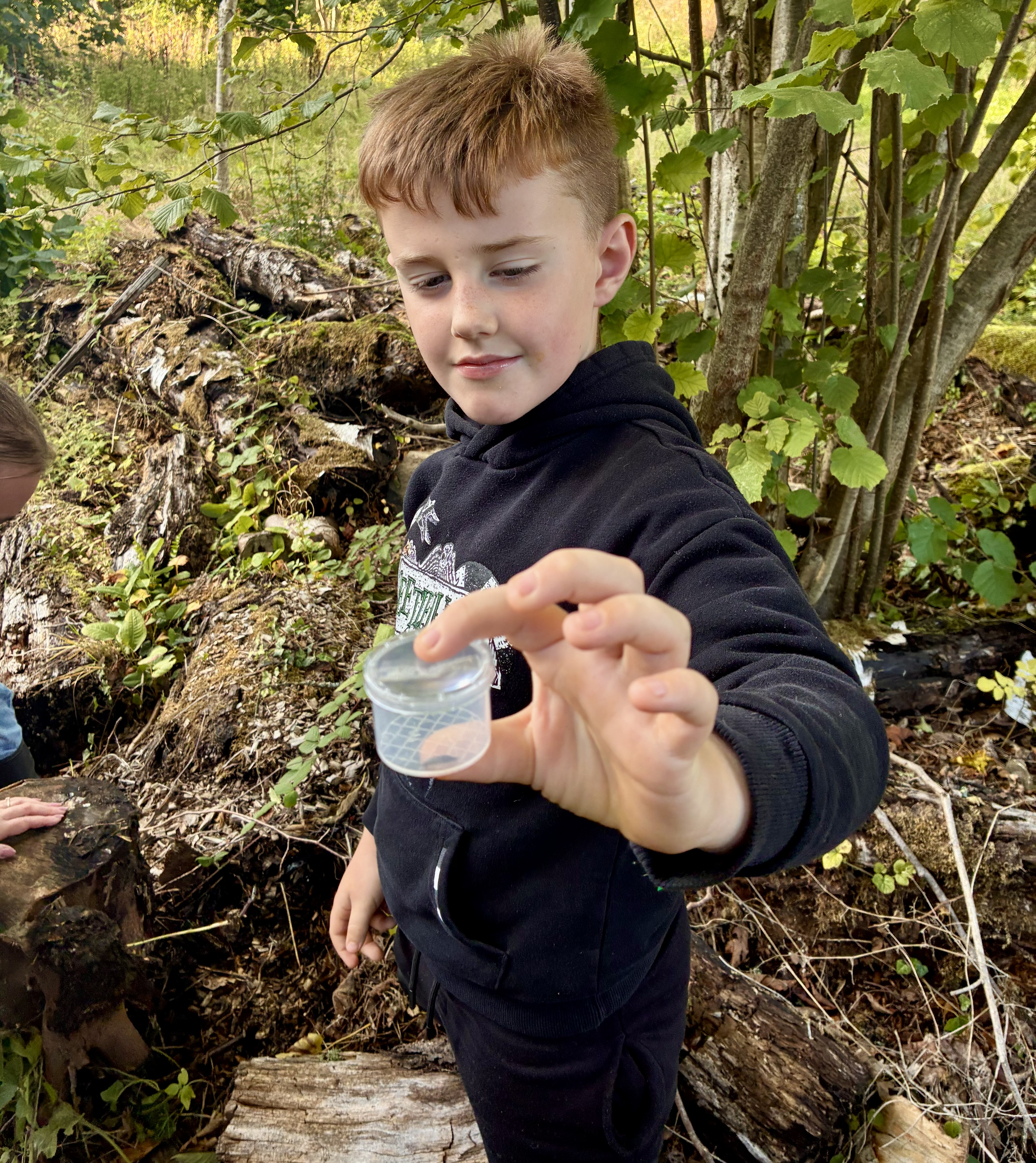 Wild Wood Explorers