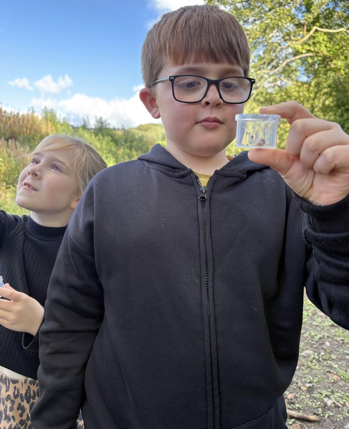 Wild Wood Explorers