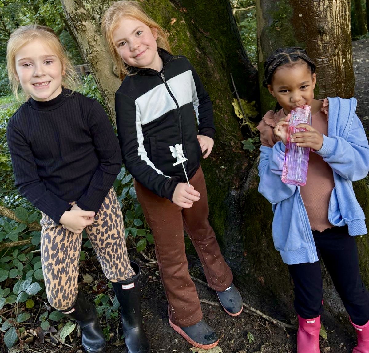 Wild Wood Explorers