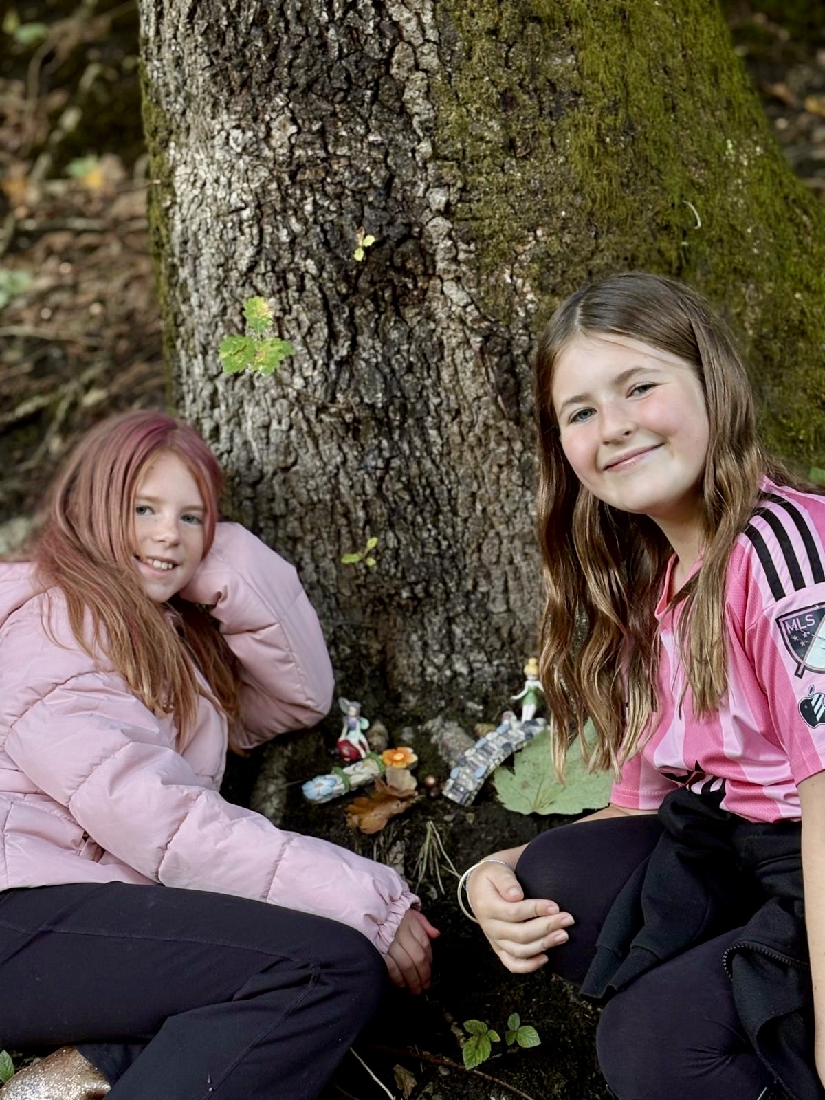 Wild Wood Explorers