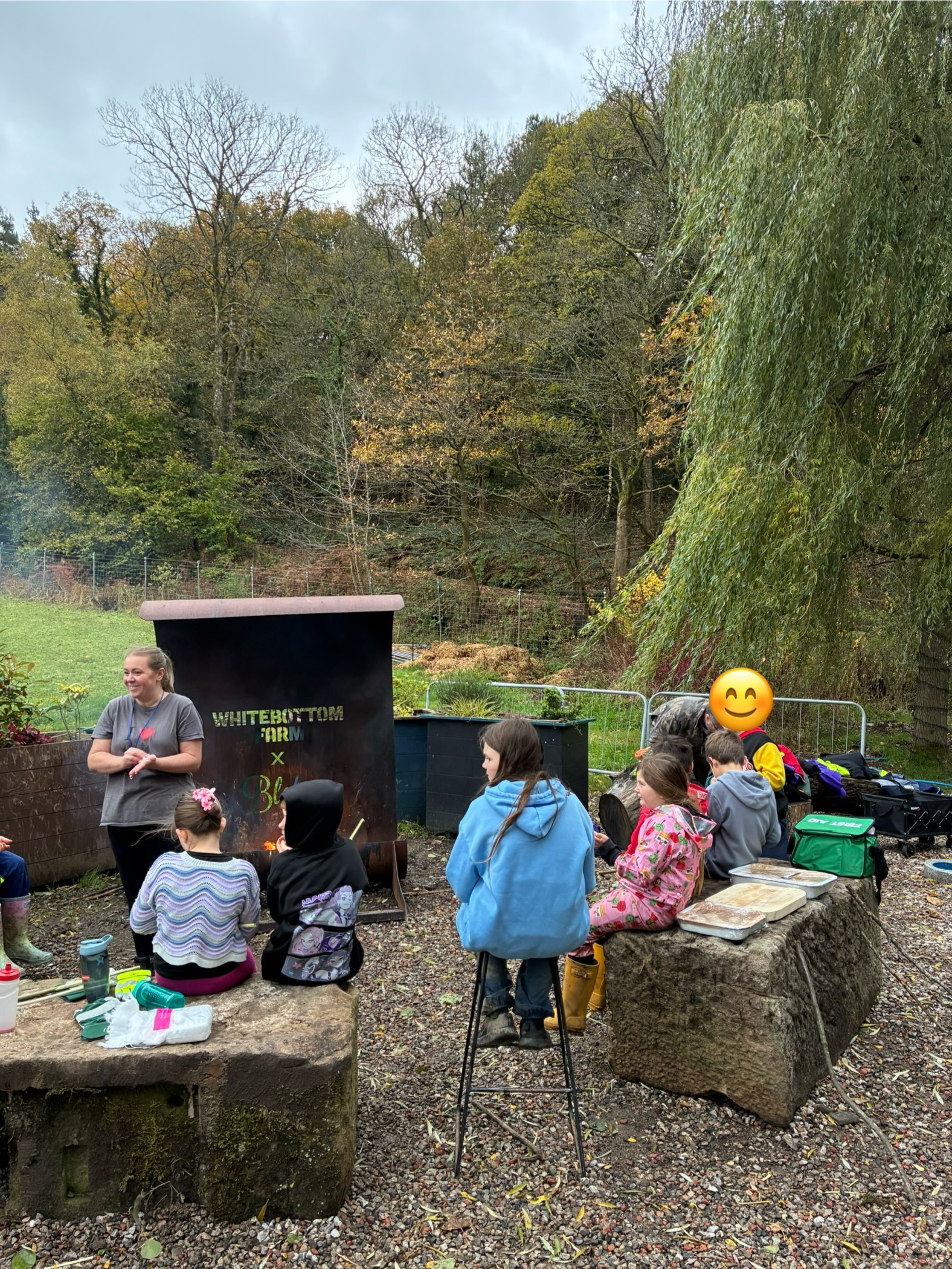 Wild Wood Explorers
